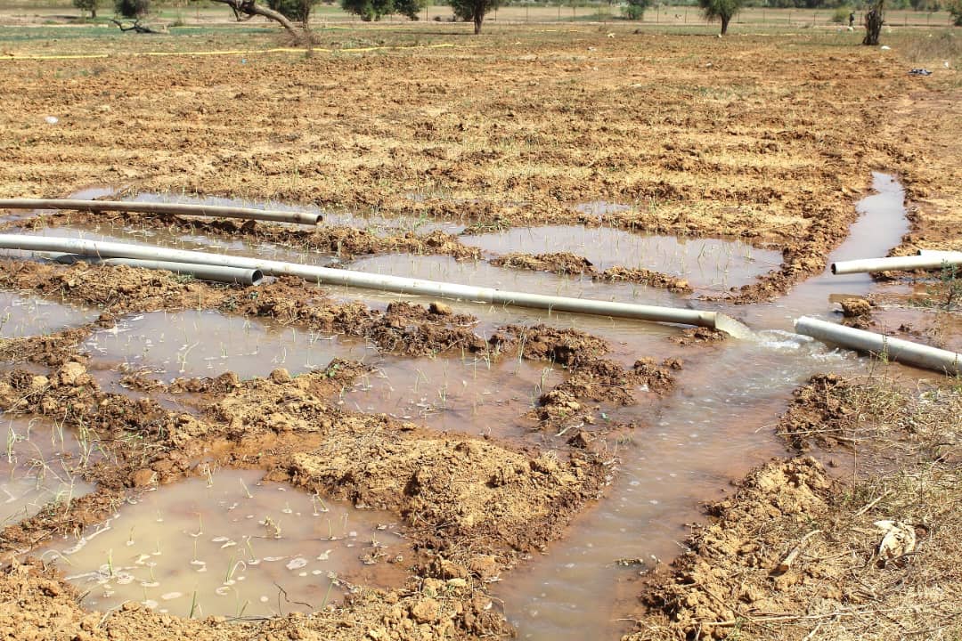 LOCAL FACILITY MECHANISM BURKINA FASO