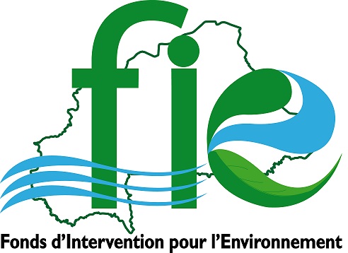 Logo FIE definitif